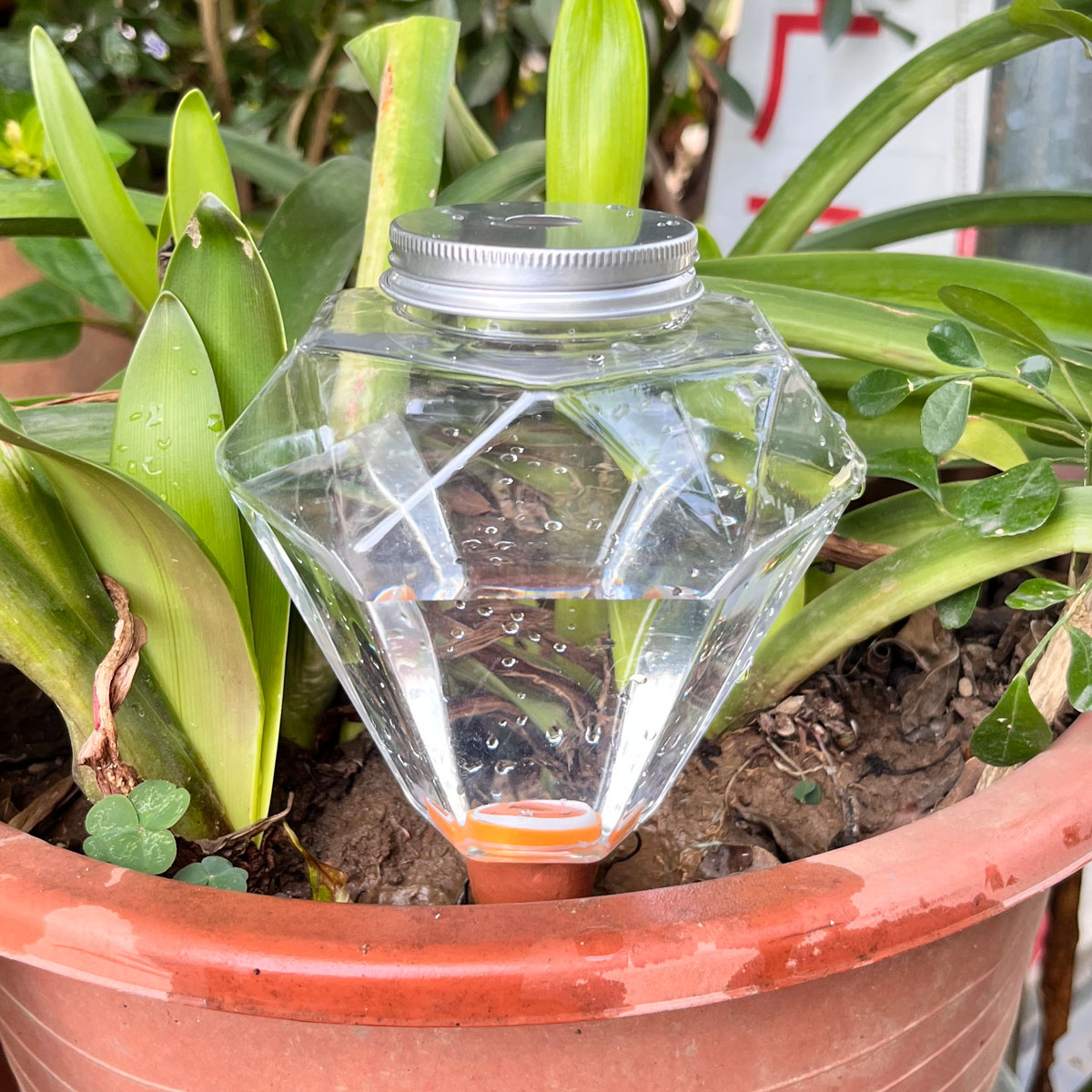Automatic Plant Waterer - 1 pz. Simpatico irrigatore automatico in