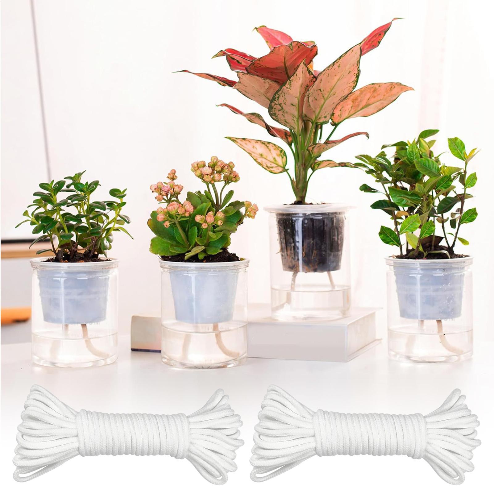 Corda per irrigazione automati - Automatic Plant Waterer recensione e prezzo