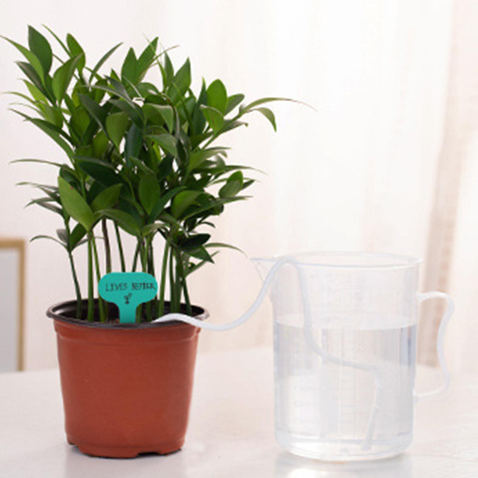 Corda per irrigazione automati - Automatic Plant Waterer recensione e prezzo