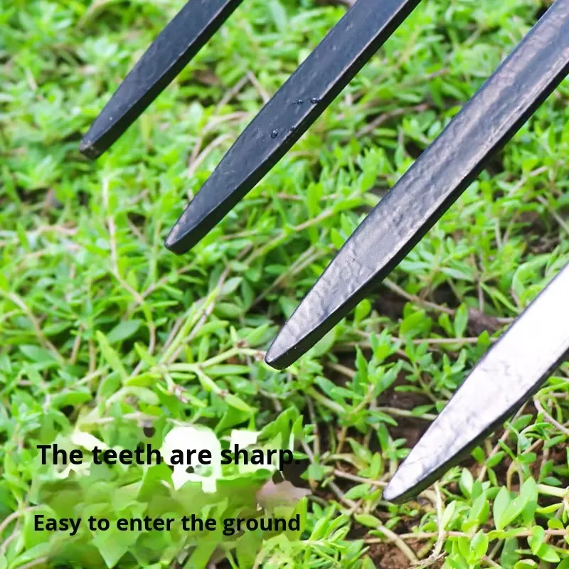 Forca Agricola a Quattro Denti - Spade Digging Fork recensione e prezzo