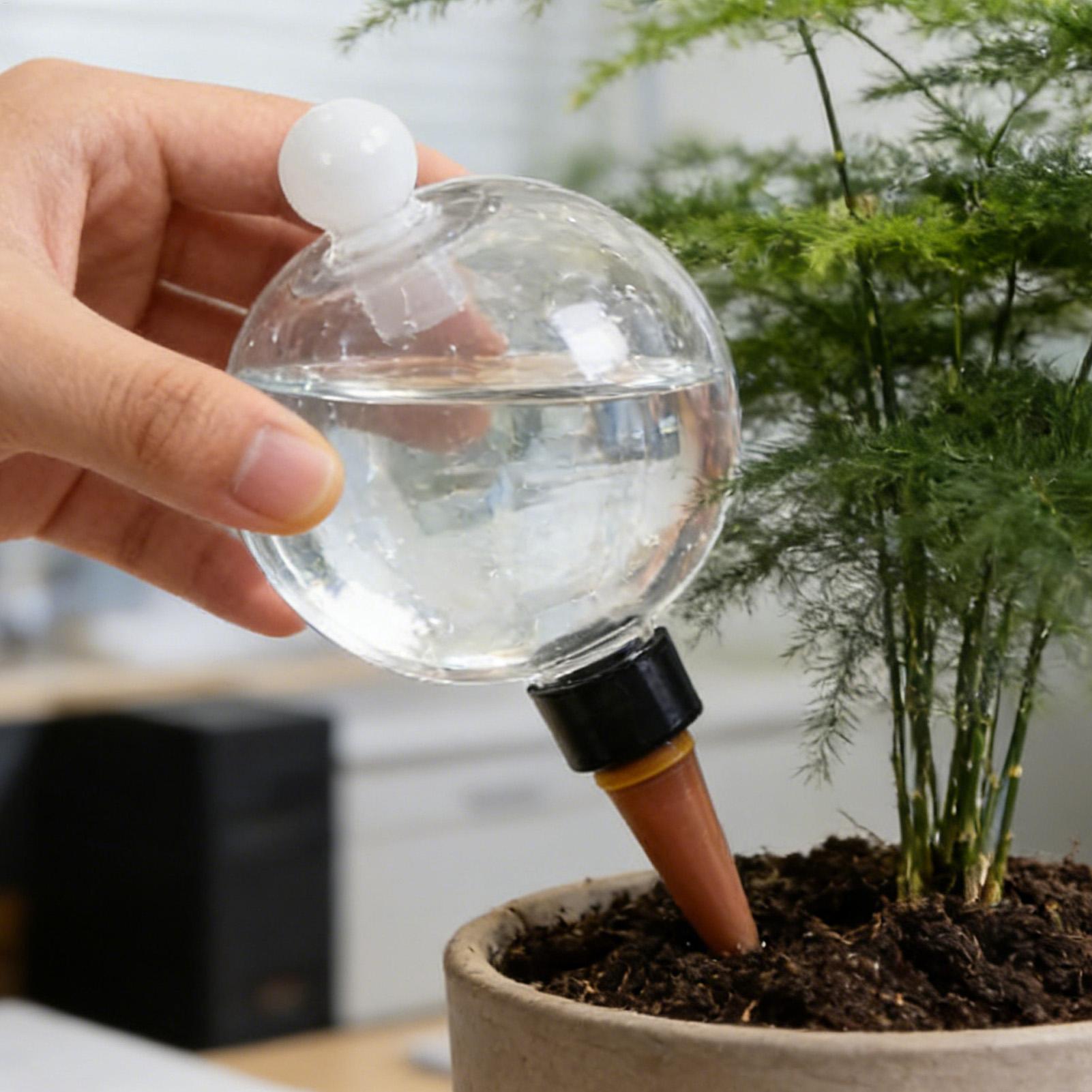 Globi per Irrigazione Piante 4 - Automatic Plant Waterer recensione e prezzo