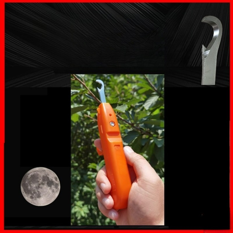 Forbici per la Raccolta della  - Gardening Tools Vegetables recensione e prezzo