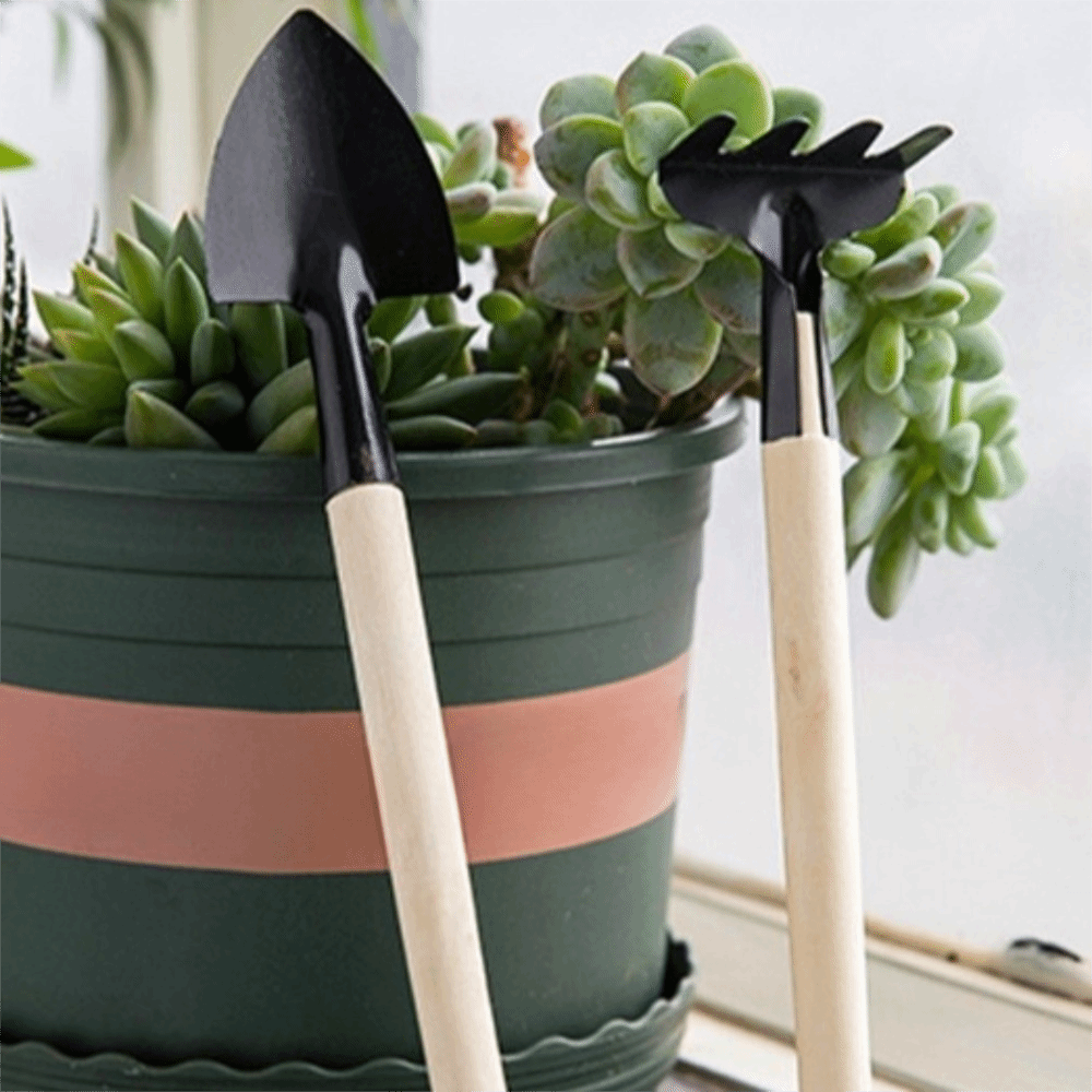 Set di Attrezzi da Giardinaggi - Spade Digging Fork recensione e prezzo