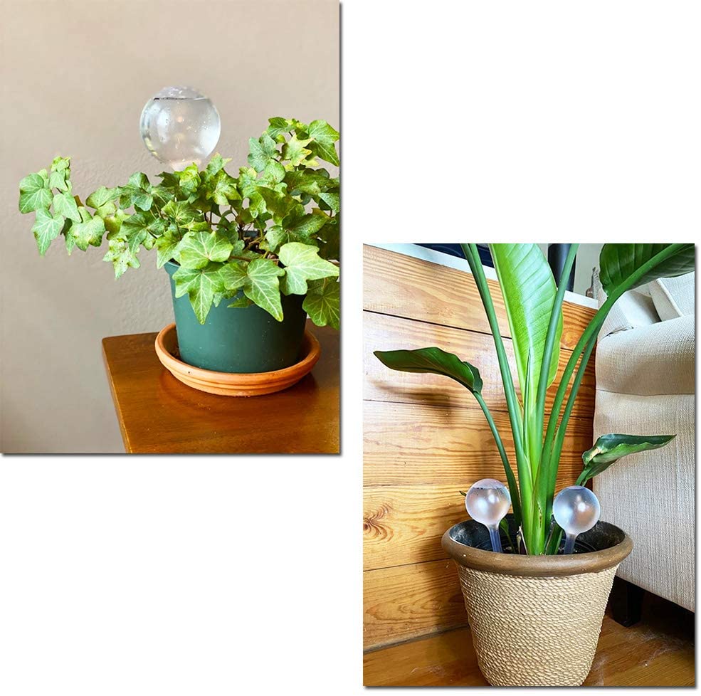 Alimentatore automatico per ac - Automatic Plant Waterer recensione e prezzo