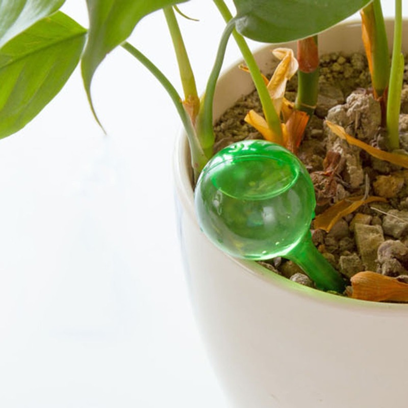 Alimentatore automatico per ac - Automatic Plant Waterer recensione e prezzo
