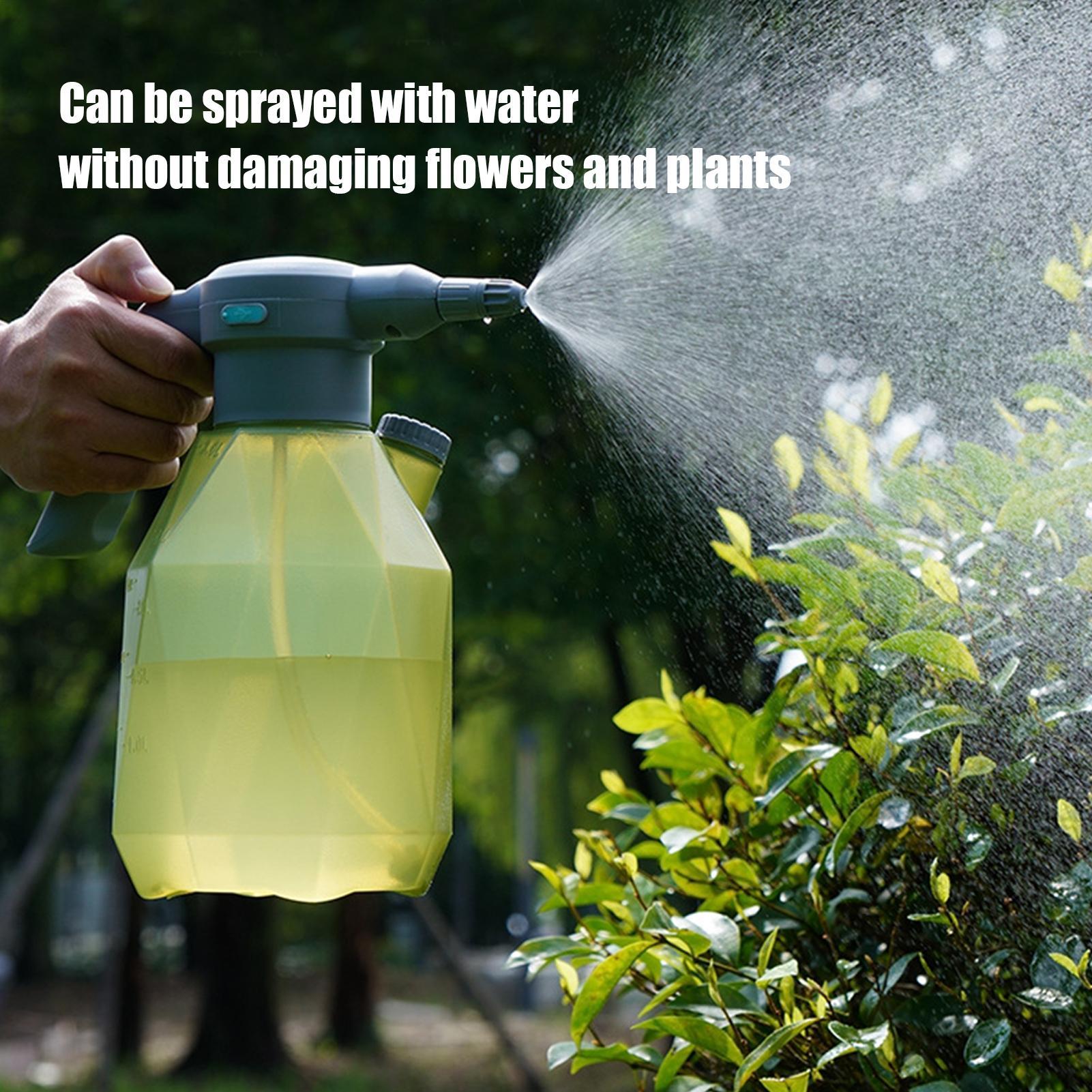 Abbeveratoio automatico per pi - Automatic Plant Waterer recensione e prezzo