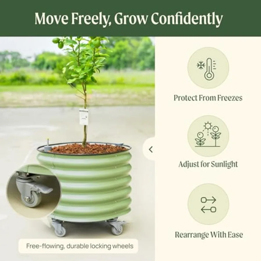 Fioriera a Rullo per Alberi da - Self-Watering Planter recensione e prezzo