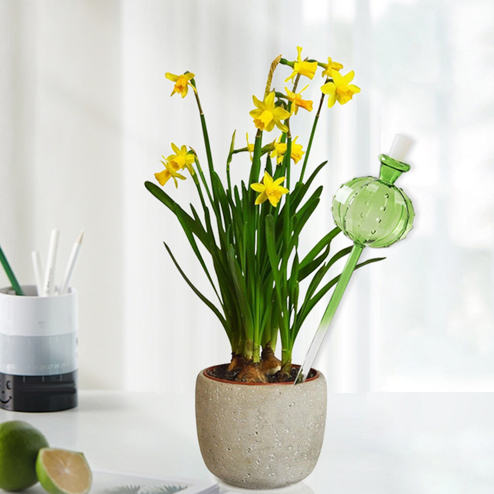 Irrigatore Automatico a Spillo - Automatic Plant Waterer recensione e prezzo