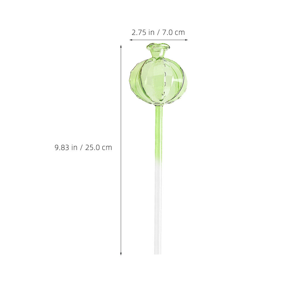 Irrigatore Automatico a Spillo - Automatic Plant Waterer recensione e prezzo