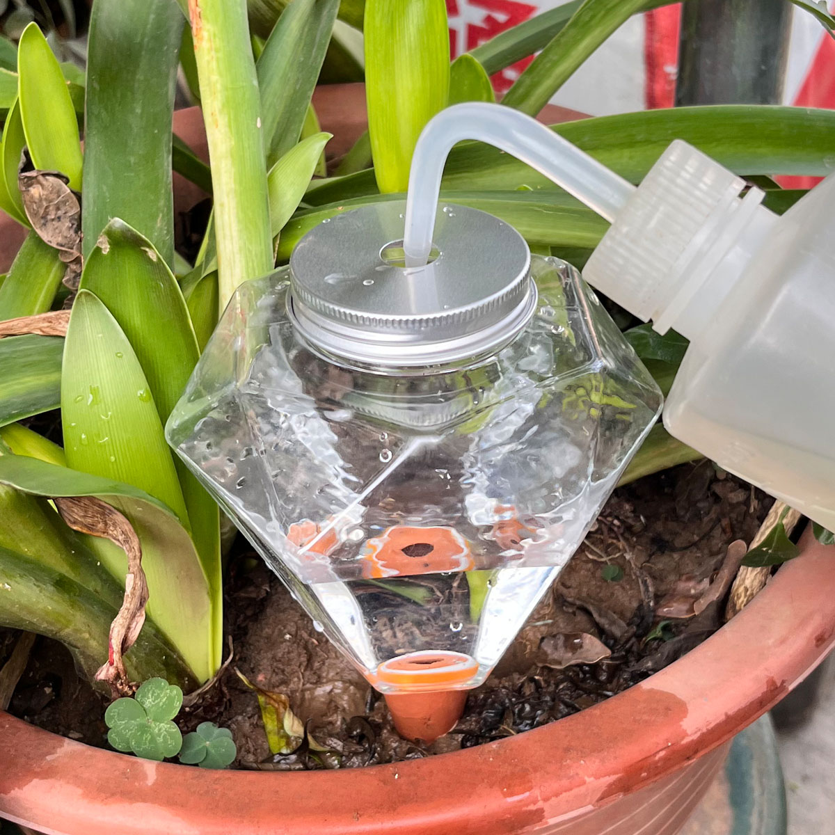 1 pz. Simpatico irrigatore aut - Automatic Plant Waterer recensione e prezzo