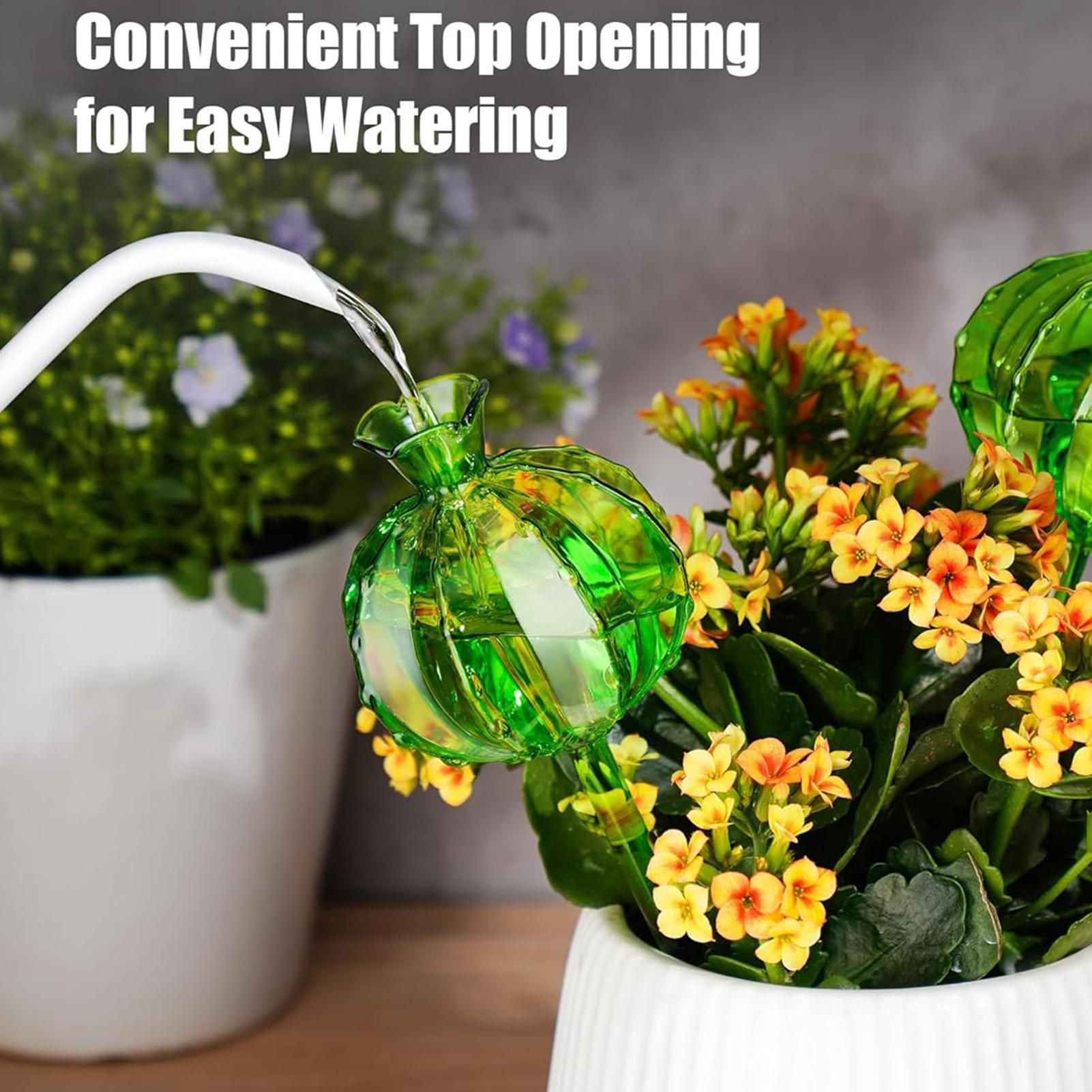 Globi per irrigazione piante c - Automatic Plant Waterer recensione e prezzo